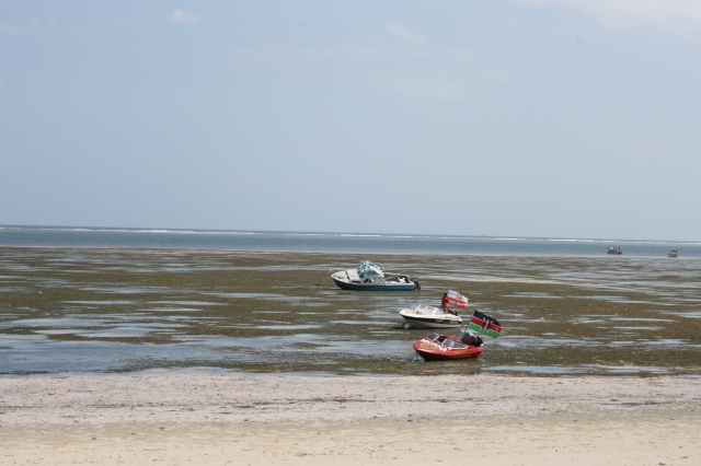Speed boats in the shallow waters of an early afternoon